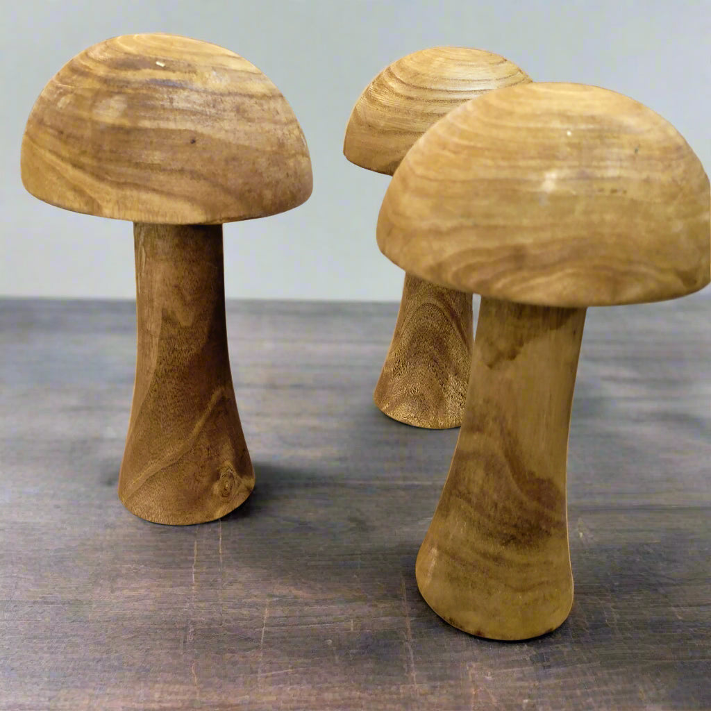 Wooden Mushrooms (HIRE ONLY)
