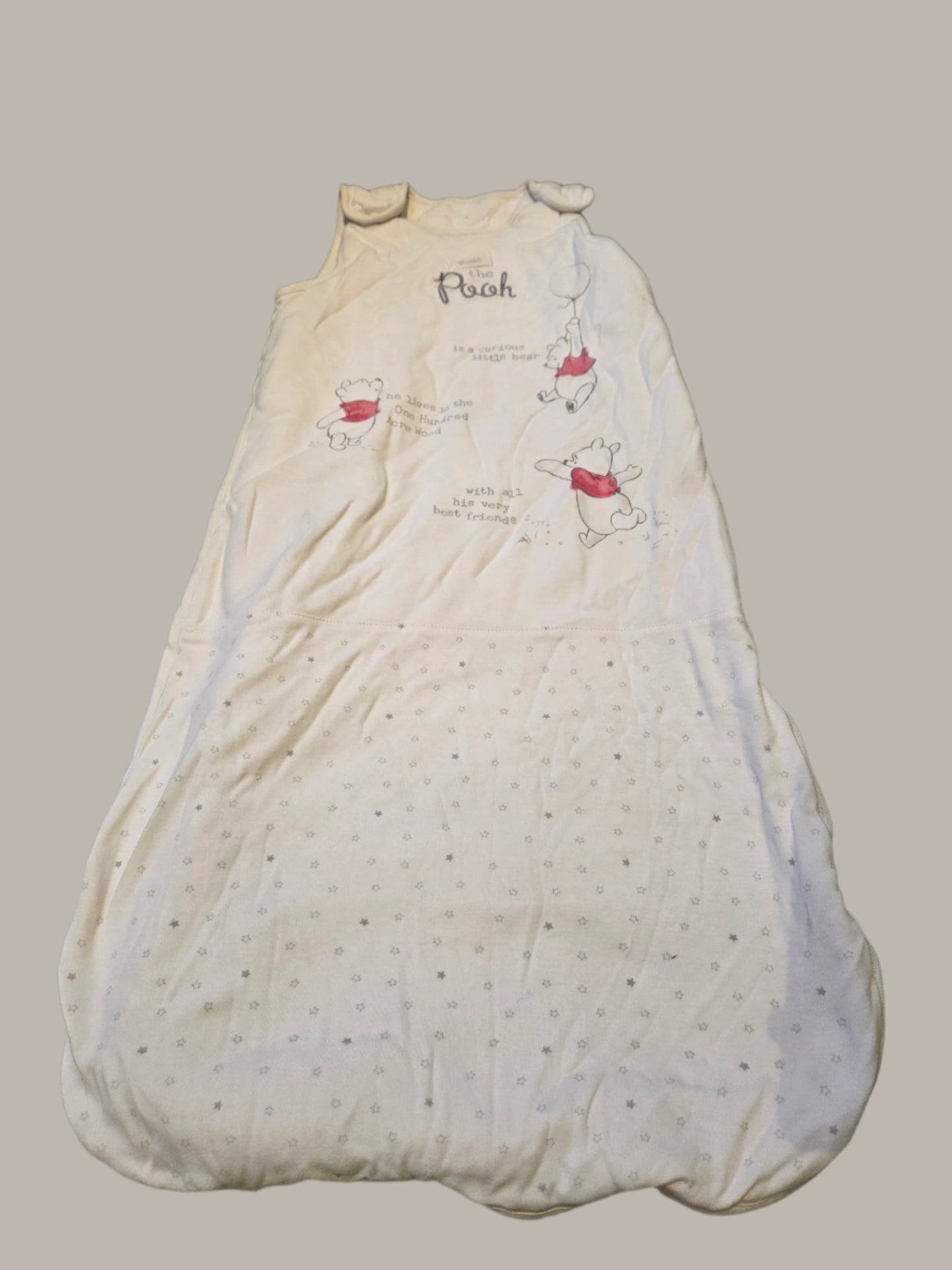 George- Winnie The Pooh Sleeping Bag