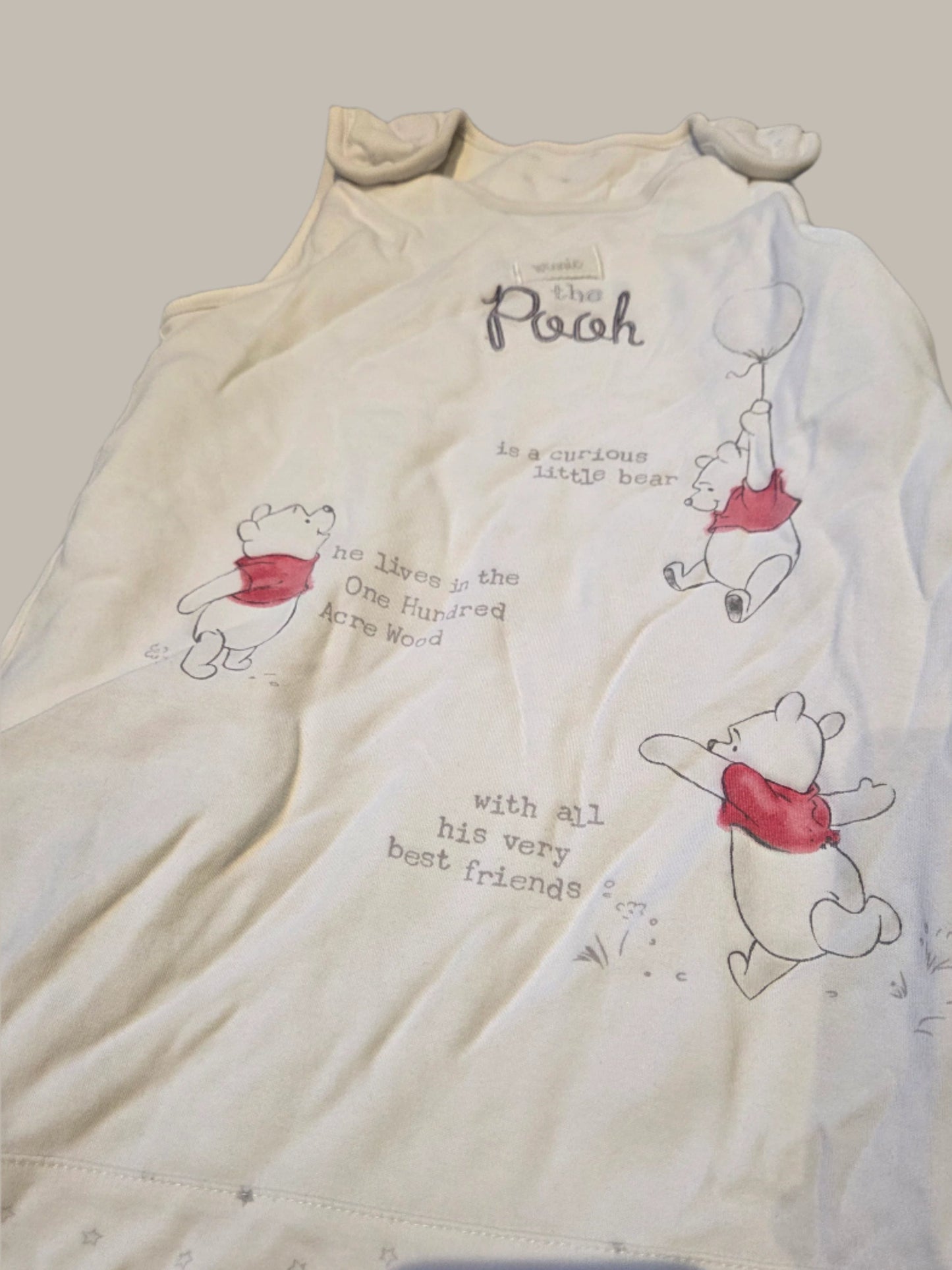 George- Winnie The Pooh Sleeping Bag