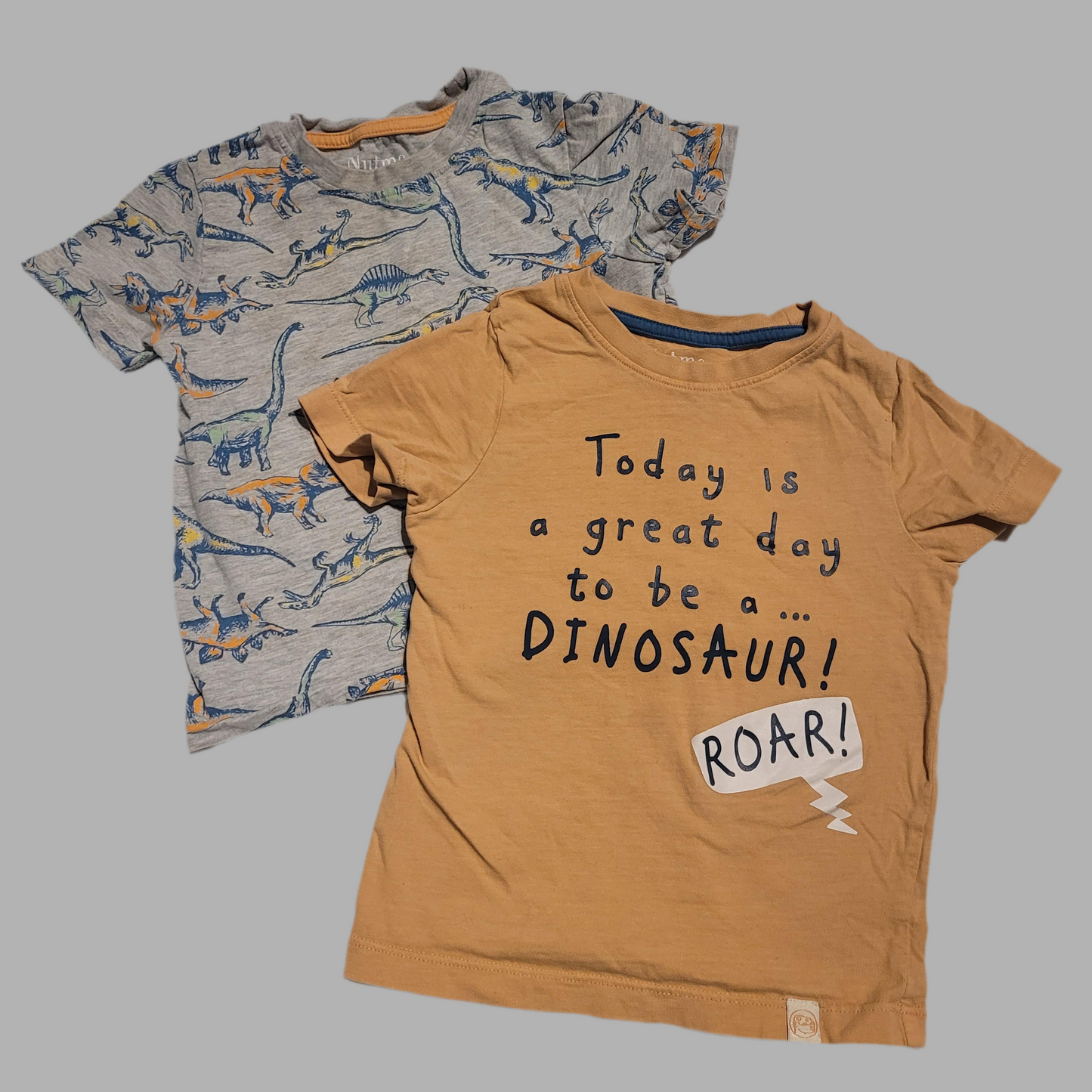 Nutmeg- Pack of 2 T-shirts