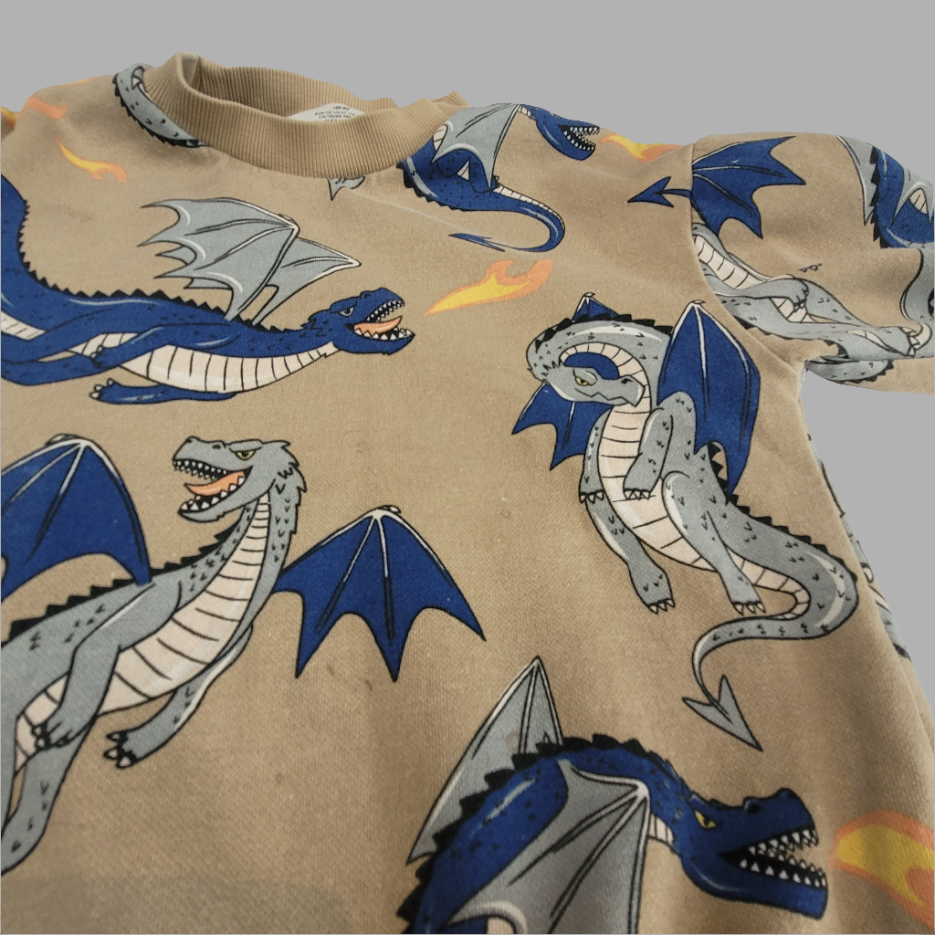 H&M- Sweatshirt