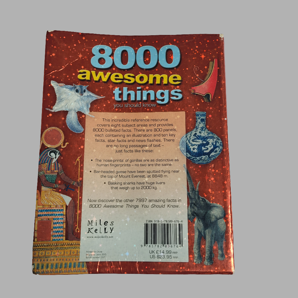 8000 Awesome Things Book