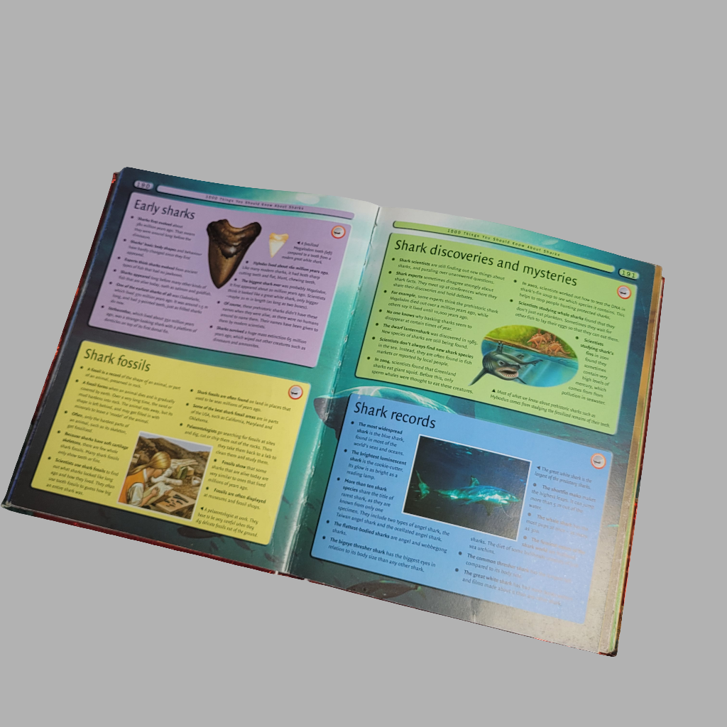 8000 Awesome Things Book