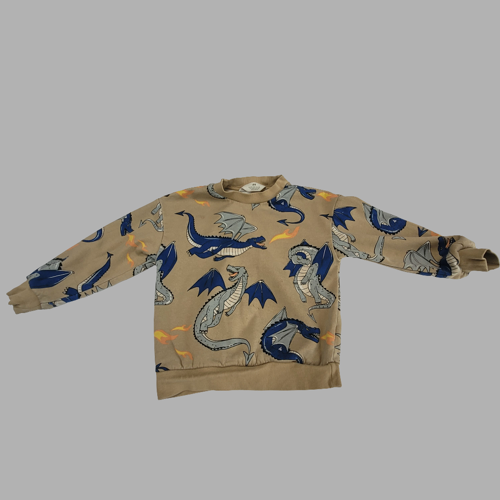 H&M- Sweatshirt