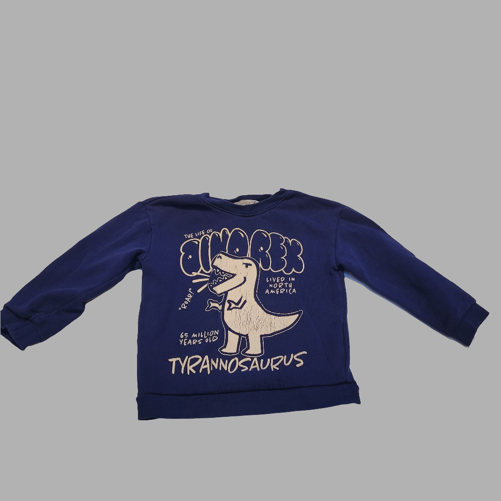 H&M- Sweatshirt