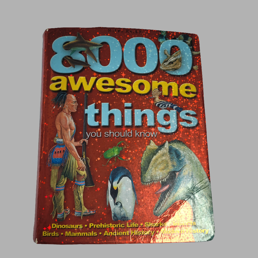 8000 Awesome Things Book