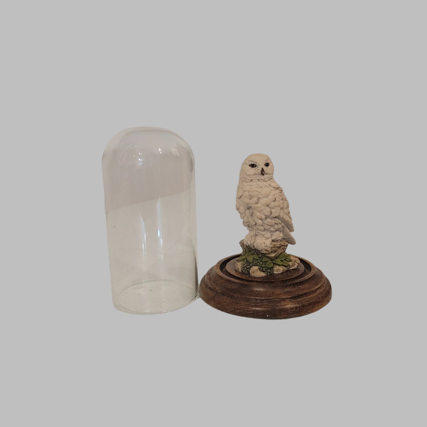 Country Artists Snowy Owl In Glass Dome