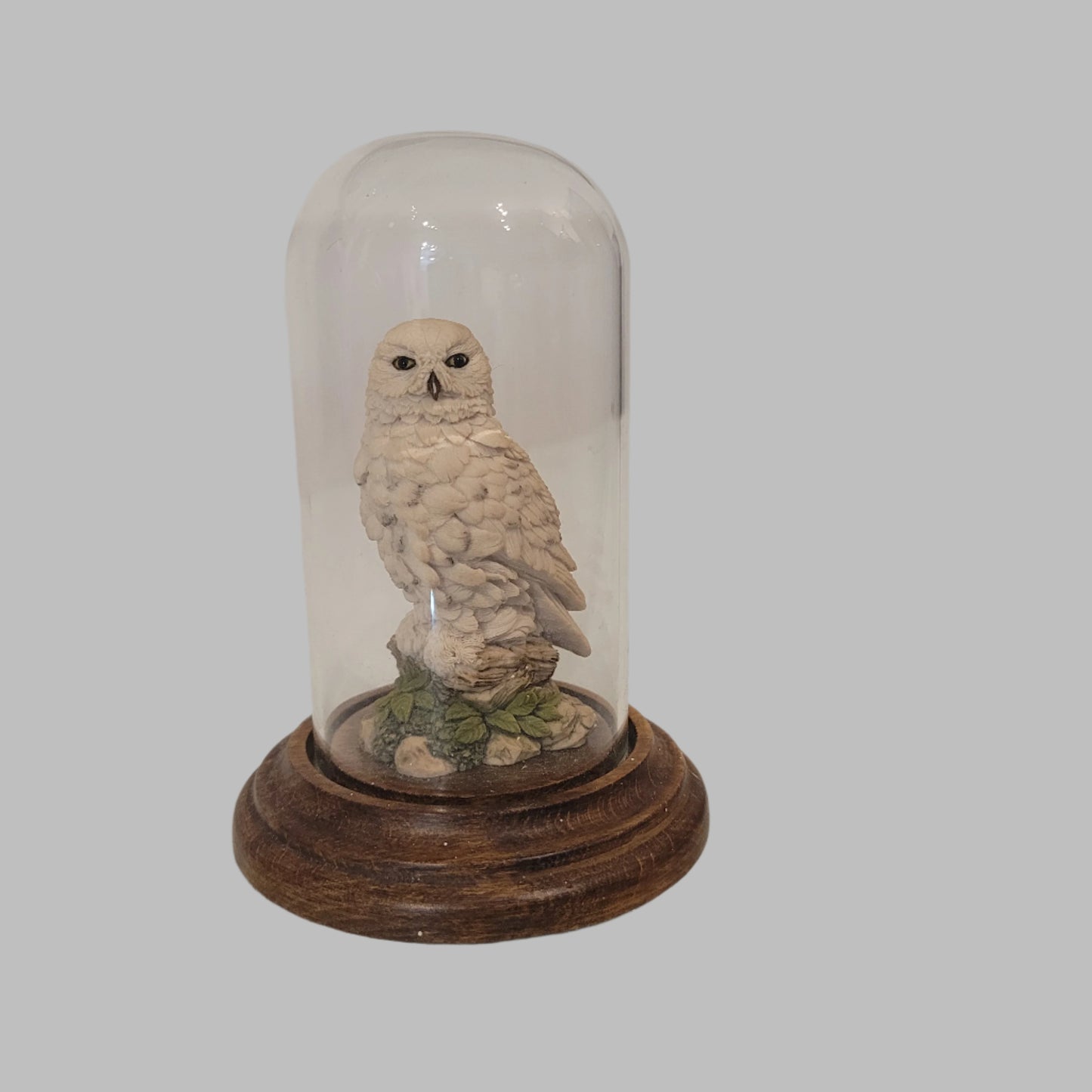 Country Artists Snowy Owl In Glass Dome