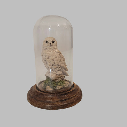 Country Artists Snowy Owl In Glass Dome