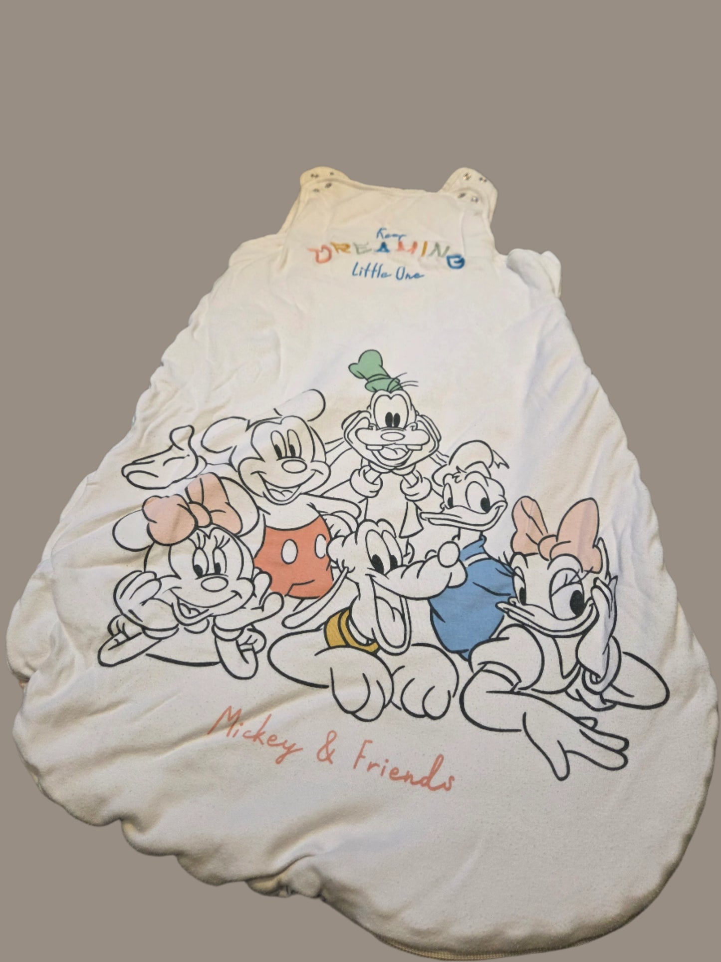 Primark- Mickey & Friends, Sleeping Bag