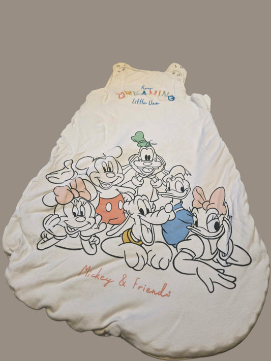 Primark- Mickey & Friends, Sleeping Bag