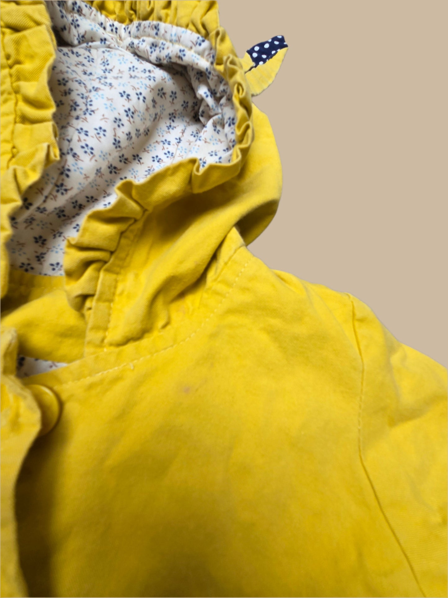 Cute Jacket