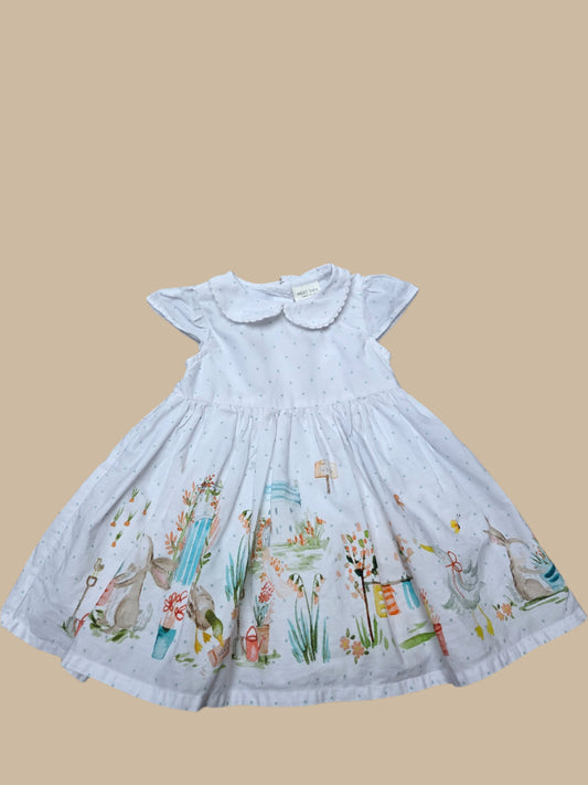 Next- Pretty Summer Dress