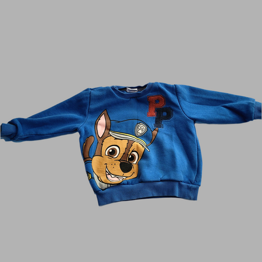Tesco- Paw Patrol Hoodie