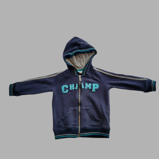 Pumpkin Patch- Zip-front Hoodie